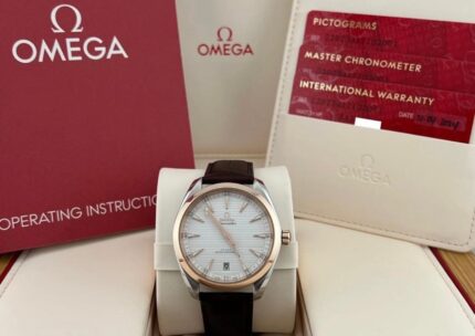Omega Seamaster Aqua Terra 220.23.41.21.02.001, boîtier en acier et or 18 carats. W